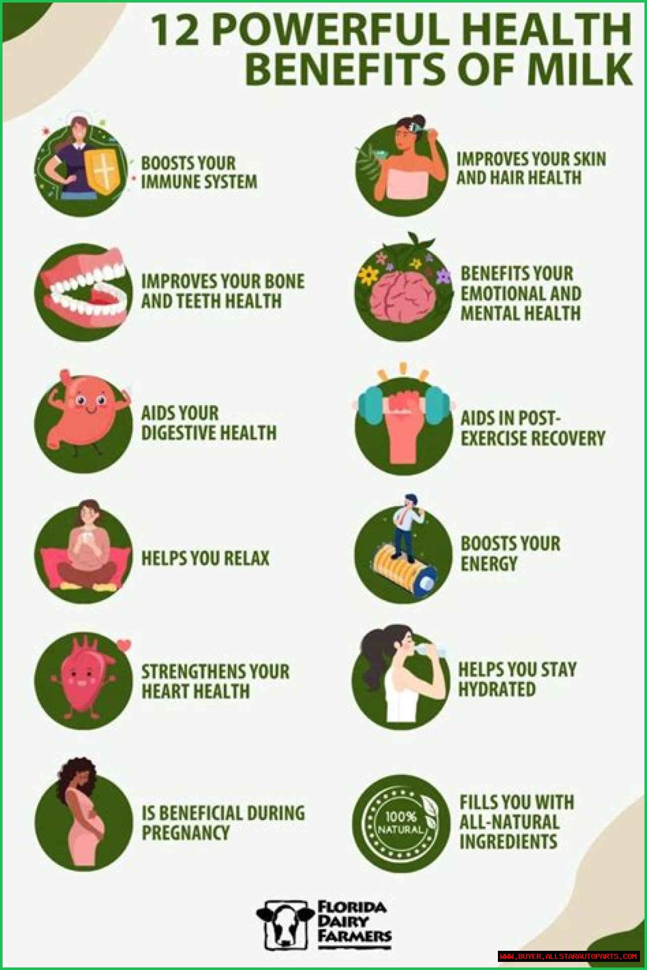 The Comprehensive Guide To Milk: Health Benefits, Types, And Nutritional Value